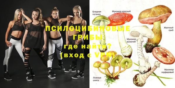 ECSTASY Алзамай